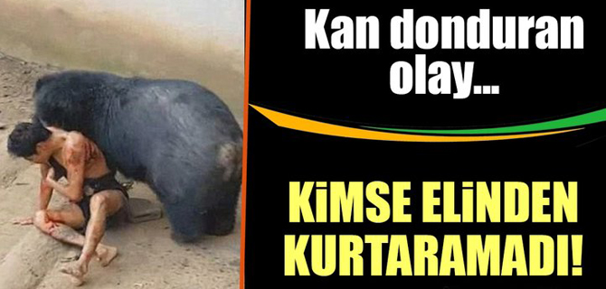 Kimse elinden kurtaramadı!