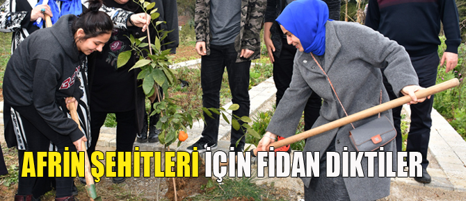 Fidanlar Afrin Şehitleri için