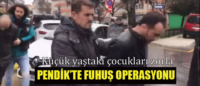 Pendik'te fuhuş operasyonu!