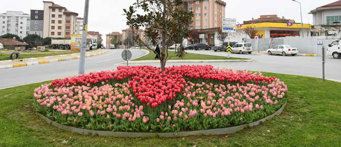 Pendik'te Lale zamanı!