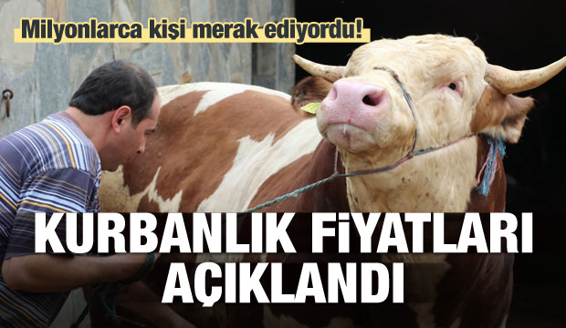 2018 yılı kurbanlık fiyatları ne kadar?