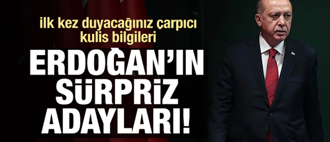 Erdoğan'ın sürpriz adayları! İlk kez duyacaksınız..