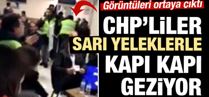 Türkiye'de ortaya çıktılar! Kapı kapı geziyorlar