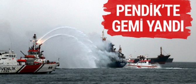 Pendik'te kuru yük gemisi yandı