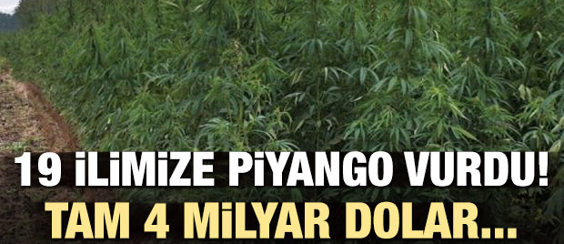 O illerimize piyango vurdu! Tam 4 milyar dolar...