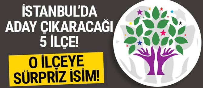 HDP İstanbul'un 5 ilçesinde aday çıkarıyor!