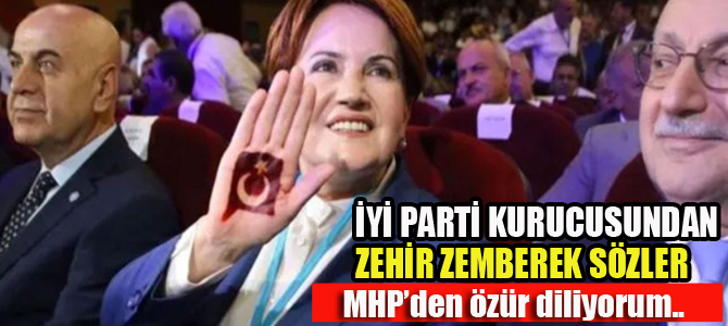 İYİ Parti kurucusuydu, zehir zemberek sözler: MHP'den özür diliyorum..