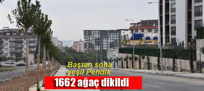 Yıl sonuna kadar hedef 2 bin ağaç