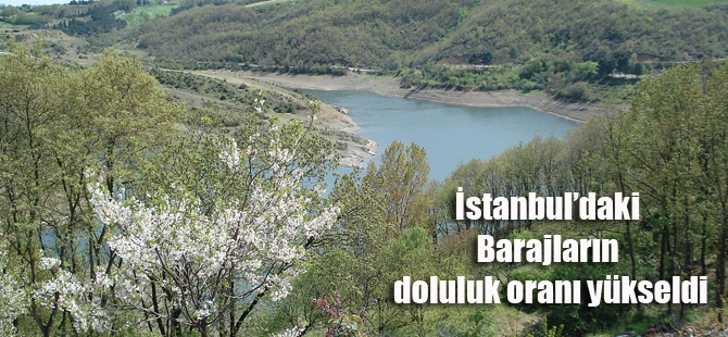 İstanbul'da Kar yağdı Barajların doluluk oranı değişti!