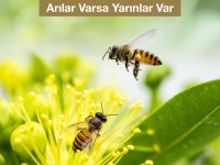 “Arılar Varsa Yarınlar Var” Diyerek Çocuklara Arının Önemini Anlatmaya Devam Ediyoruz