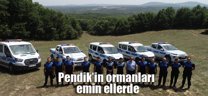 Pendik'te Ormanlık alanlar drone ile denetleniyor