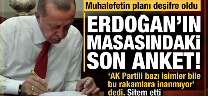 Son anket Başkan Erdoğan'ın masasında