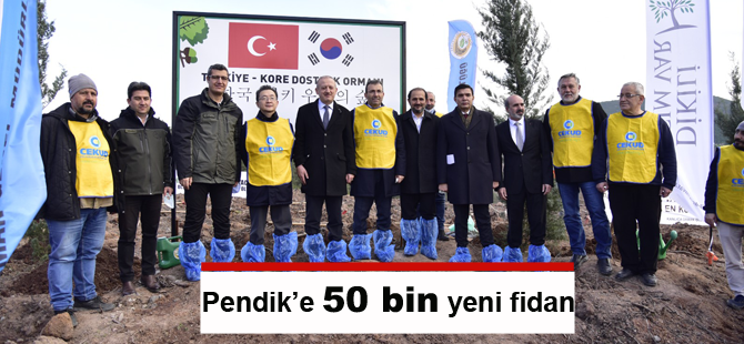 Ballıca'da Türkiye-Kore Dostluk Ormanı.. 50 bin fidan dikildi