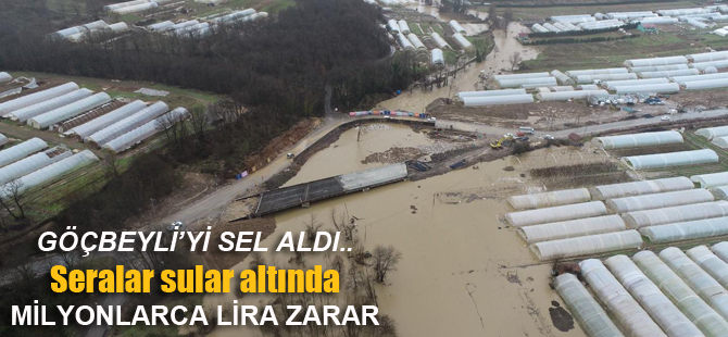 Göçbeyli sele teslim .. İBB'nin ihmali.. Seralar sular altında