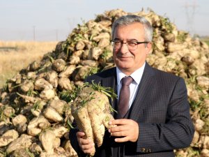 Erzurum ve Erzincan'da büyük tarımsal dönüşüm!