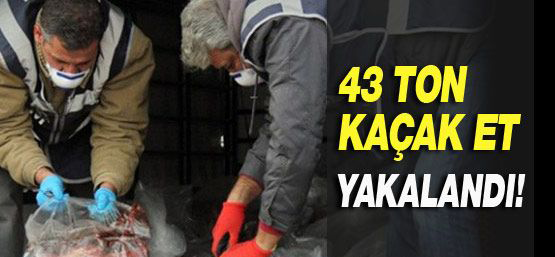 Tuzla'da 39 ton kaçak et yakalandı