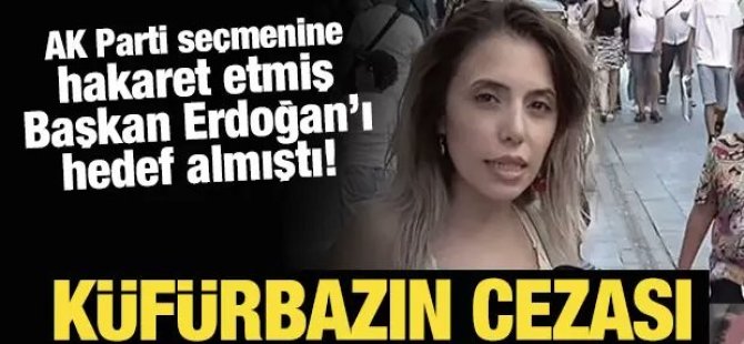 Erdoğan'a ve AK Parti'ye oy verenlere hakaret etmişti!