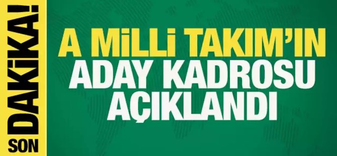 A Milli Futbol Takımı'nın aday kadrosu açıklandı!