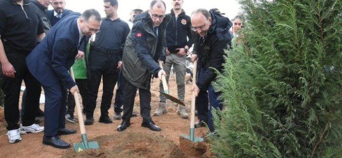 Pendik’te 10 Bin Fidan Toprakla Buluştu