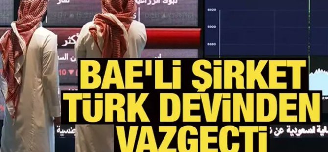 Birleşik Arap Emirlikleri Şirketi Türk Devi'nden vazgeçti!