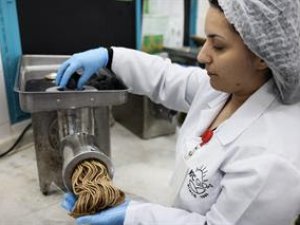 Türkiye'nin incirdeki yeni yıldızı "Siyah orak", dünya pazarında dengeleri değiştirecek