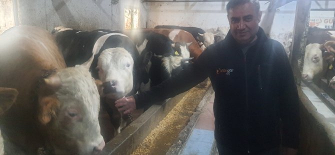 Güngör ET'te Kurban satışları başladı