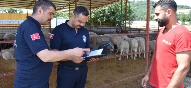 Kurban Satış ve Kesim Alanlarını Denetliyorlar