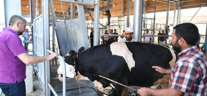 “Kurban Etini Paylaş, Kardeşinle Kucaklaş!”