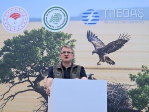 Leylekler ve Şah Kartal için koruma seferberliği başladı