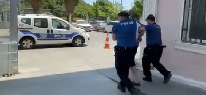 Pendik'te sokak köpeğine cinsel tacizde bulunan şahıs tutuklandı!