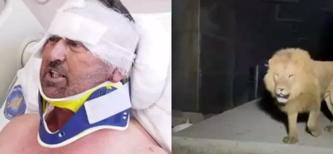 Saldırıya uğrayan çiftçi; "Aslan'a hakkımı helal ediyorum."