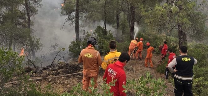 Pendik Belediyesinden Bursa'daki Yangın Söndürme Çalışmalarına Tam Destek
