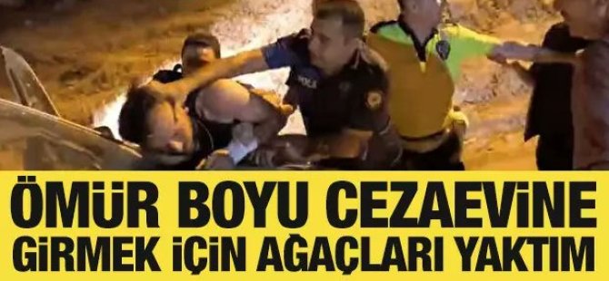 Orman yakan FETÖ'cü; Ömür boyu cezaevine girmek için yaptım!