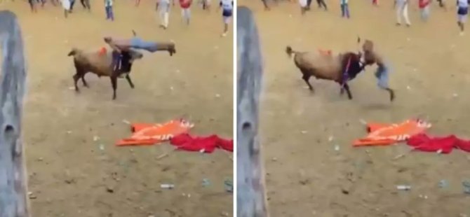 Boğa boynuz darbesiyle matadoru feci şekilde öldürdü!