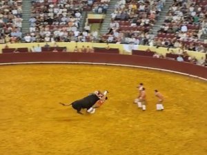 Matador boynuz darbesiyle hayatını kaybetti, seyirci kalp krizi geçirdi