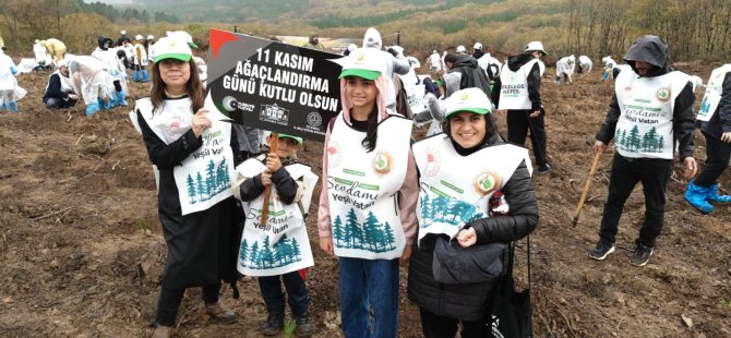 Pendik'e 36 bin fidan