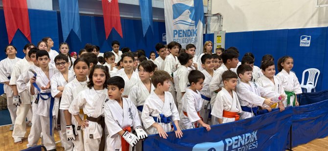 Pendik'te Mücadele Sporları Festivali