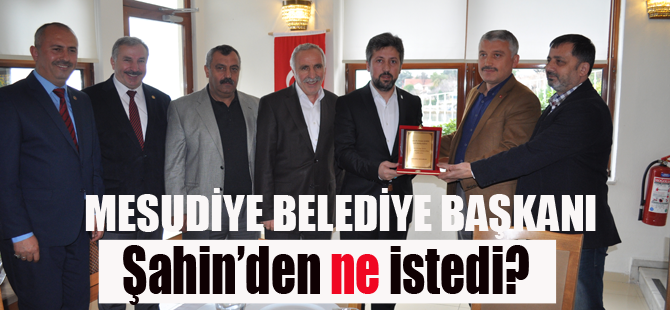 Seçilmiş Mesudiyeliler Pendik’te buluştu