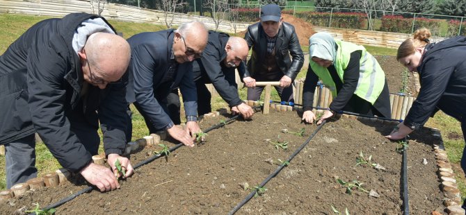 Pendik'e Ata Tohumu Fideleri Diktiler