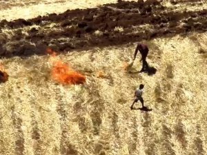 Dronlar, Kaçak Trafoları Ararken Anız Yakanları da Görüntüledi