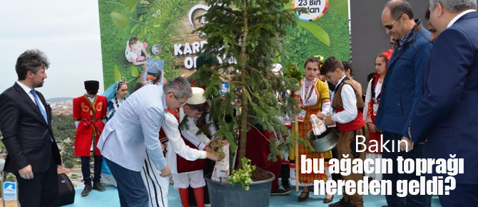 Kardeşlik Ağacı, 10 ülkenin toprağıyla büyüyecek