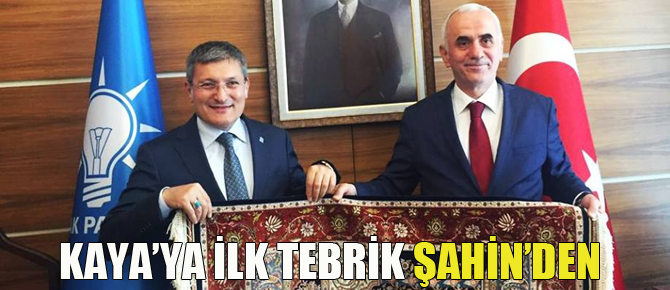 Şahin'den Kabine'ye çıkarma