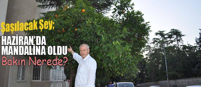 Görenler gözlerine inanamıyor!