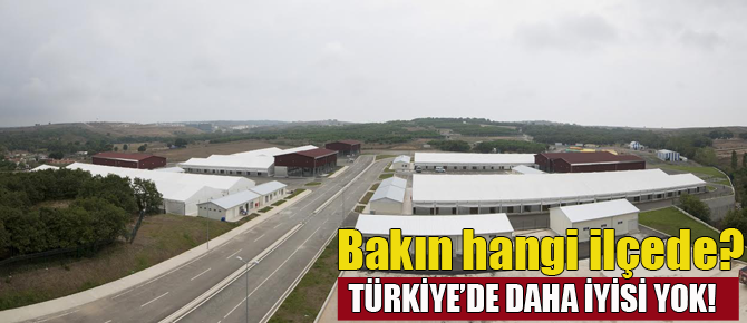 Pendik'e yakışır kurban satış ve kesim alanı