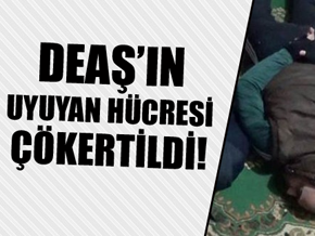 Pendik ve Kartal'da DEAŞ hücreleri çökertildi!