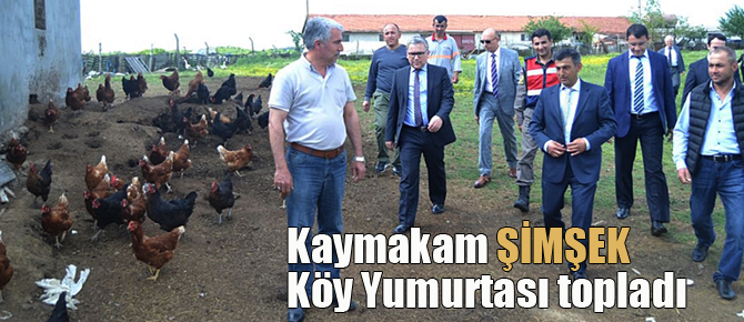 Kaymakam Şimşek Köy Yumurtası topladı