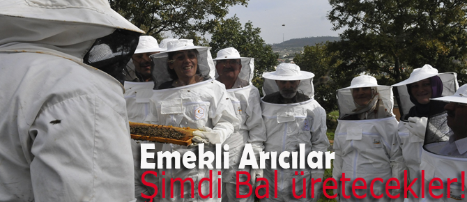 Yaza Arıcı Olarak Girdiler! Bal üretecekler