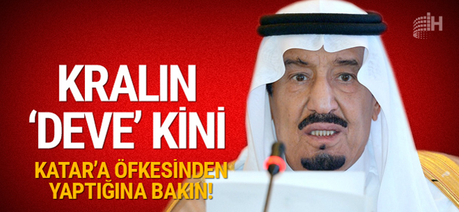 Suudi Arabistan kralının 'deve' kini! Katar'a öfkesinden...