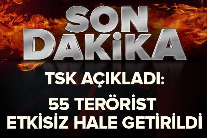 TSK: 55 terörist etkisiz hale getirildi, 4 bin 26 kişi yakalandı.