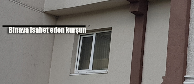 Yenişehir Ormanı Teksas gibi!